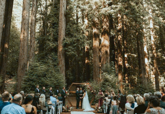 свадьба в лесу на природе