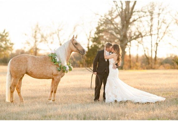 Животные на свадебной фотосессии